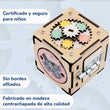 Cubo de Actividades